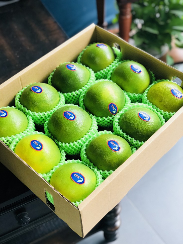 美国鸡尾青柚柔嫩多汁纯甜不酸4只