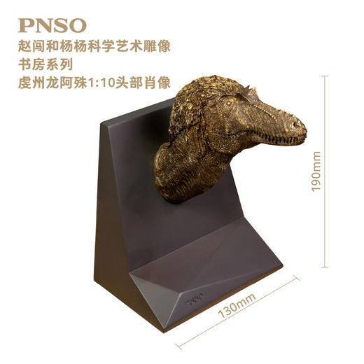 PNSO霸王龙三角龙头部肖像赵闯和杨杨科学艺术雕像书房系列 商品图6