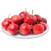 【2袋|精装】山东新鲜山楂果现摘2袋(重约1斤)【2日内提货】 商品缩略图0