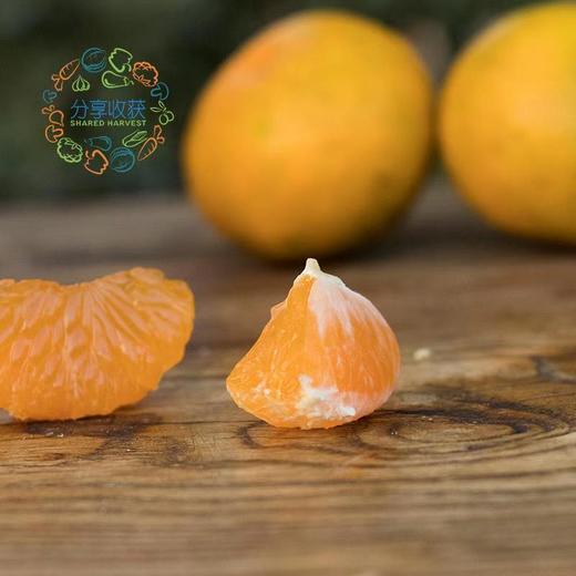 公平贸易|有机蜜橘  （11月6日后发货） 商品图0