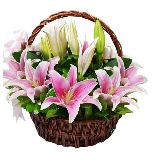 19朵精品粉色香水百合,绿叶点缀而成,带花泥插手提编精致花篮(1628)