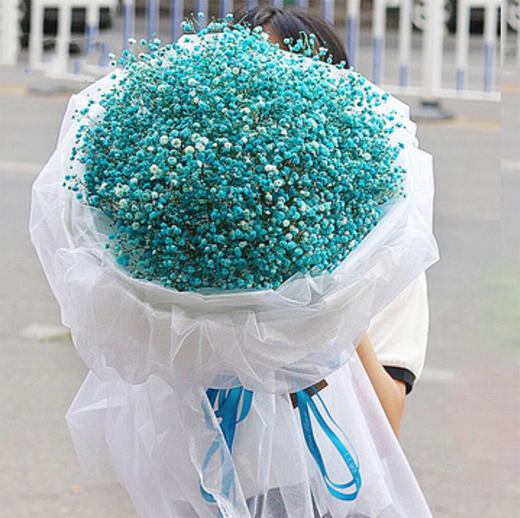 星星点点一大束蓝色满天星1601