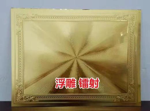 UV专用金箔奖牌 商品图2