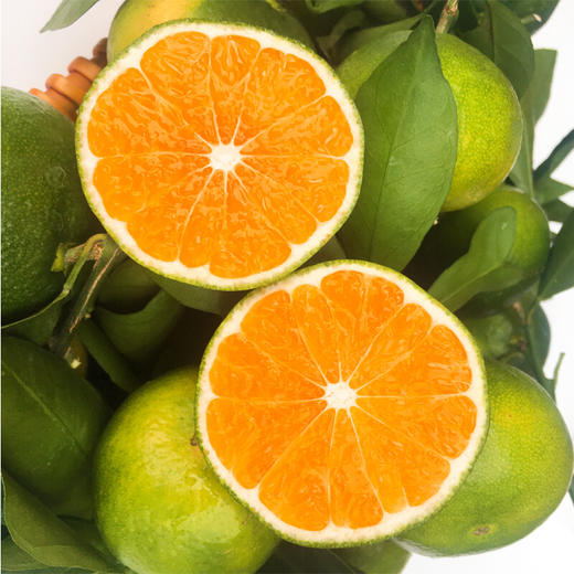 华润五丰 湖北宜昌青蜜桔 九月红 薄皮青皮橘子早熟蜜橘子 5斤装