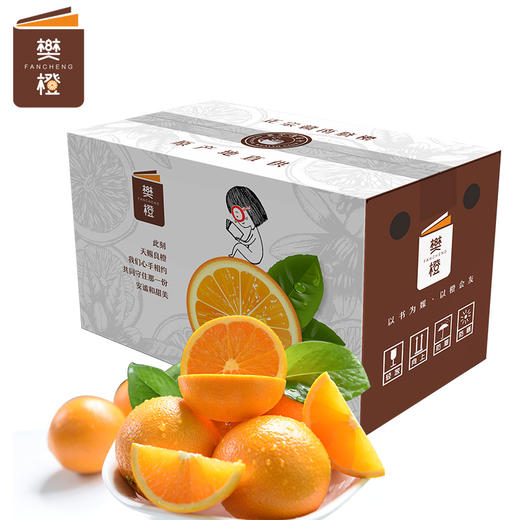 樊橙-正宗赣南脐橙10斤精选 精选10斤（约18-23个果） 商品图0
