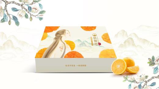 俏倾橙红美人礼盒装蜜桔当季桔子橘子现摘净重5斤礼盒装12粒 商品图6