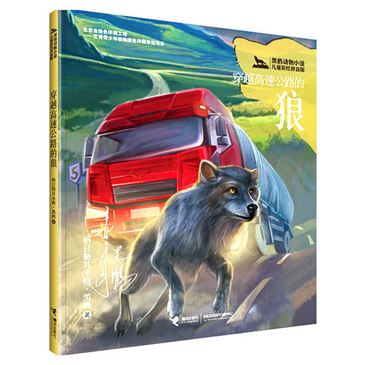 正版【全6册】黑鹤动物小说儿童彩绘拼音版雪地鸟群+狐狗+雌野兔+大熊塔的故事+黑眼睛+穿越高速公路的狼格7-10岁儿童文学读物童书 商品图1