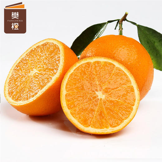 【6折优惠】樊橙 正宗赣南脐橙5斤礼盒装（约8-9个果） 商品图5