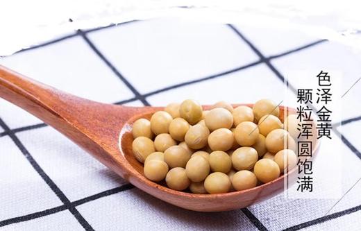 新田大豆 商品图2