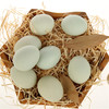 百里清 散养新鲜黑羽乌鸡蛋，林下散养，更加健康营养 商品缩略图3