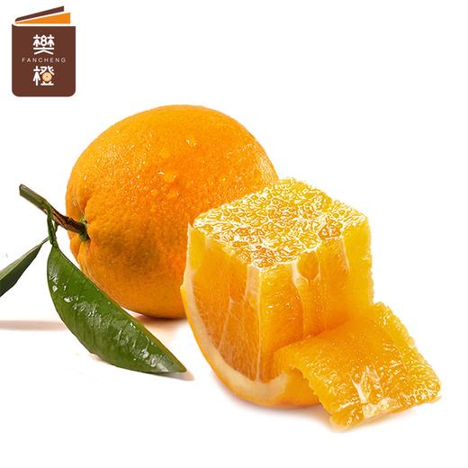 【6折优惠】樊橙 正宗赣南脐橙5斤礼盒装（约8-9个果） 商品图4