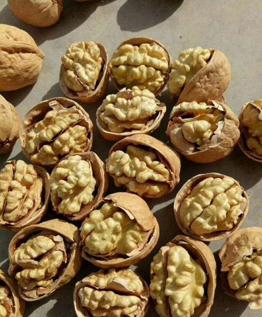 5a极品纸皮核桃500克x2袋全国包邮