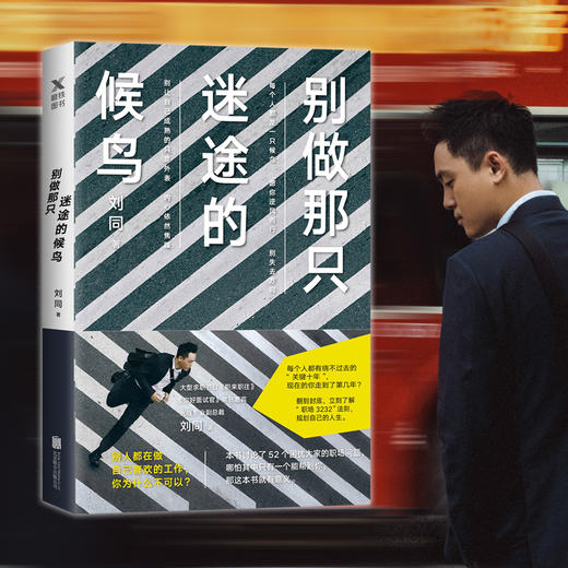 别做那只迷途的候鸟 刘同 职场  文学 商品图0