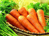 自产 /有机水果胡萝卜 商品缩略图0