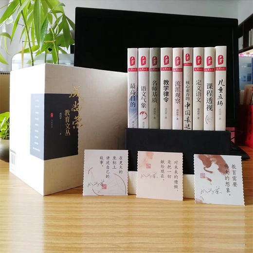 成尚荣教育文丛 9本礼盒 经典套装 教师教育理论 商品图3