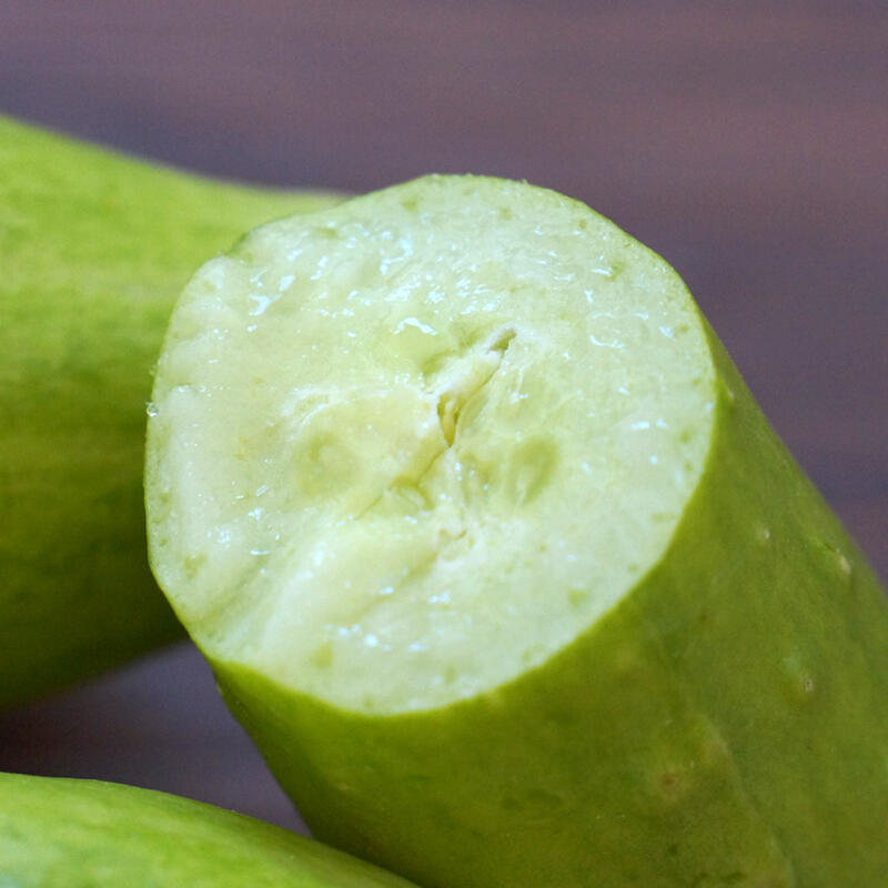 严选|山东特产白玉奶油黄瓜|采用豆杆豆粕生态种植|好吃有营养