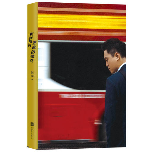 别做那只迷途的候鸟 刘同 职场  文学 商品图2