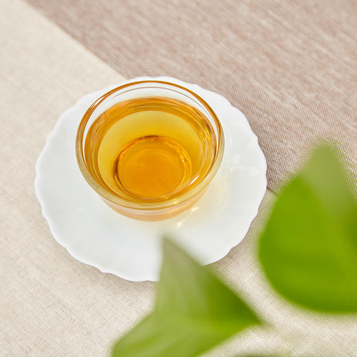 自家系列丨2009年 贡眉 仁和 250g/砖 商品图3