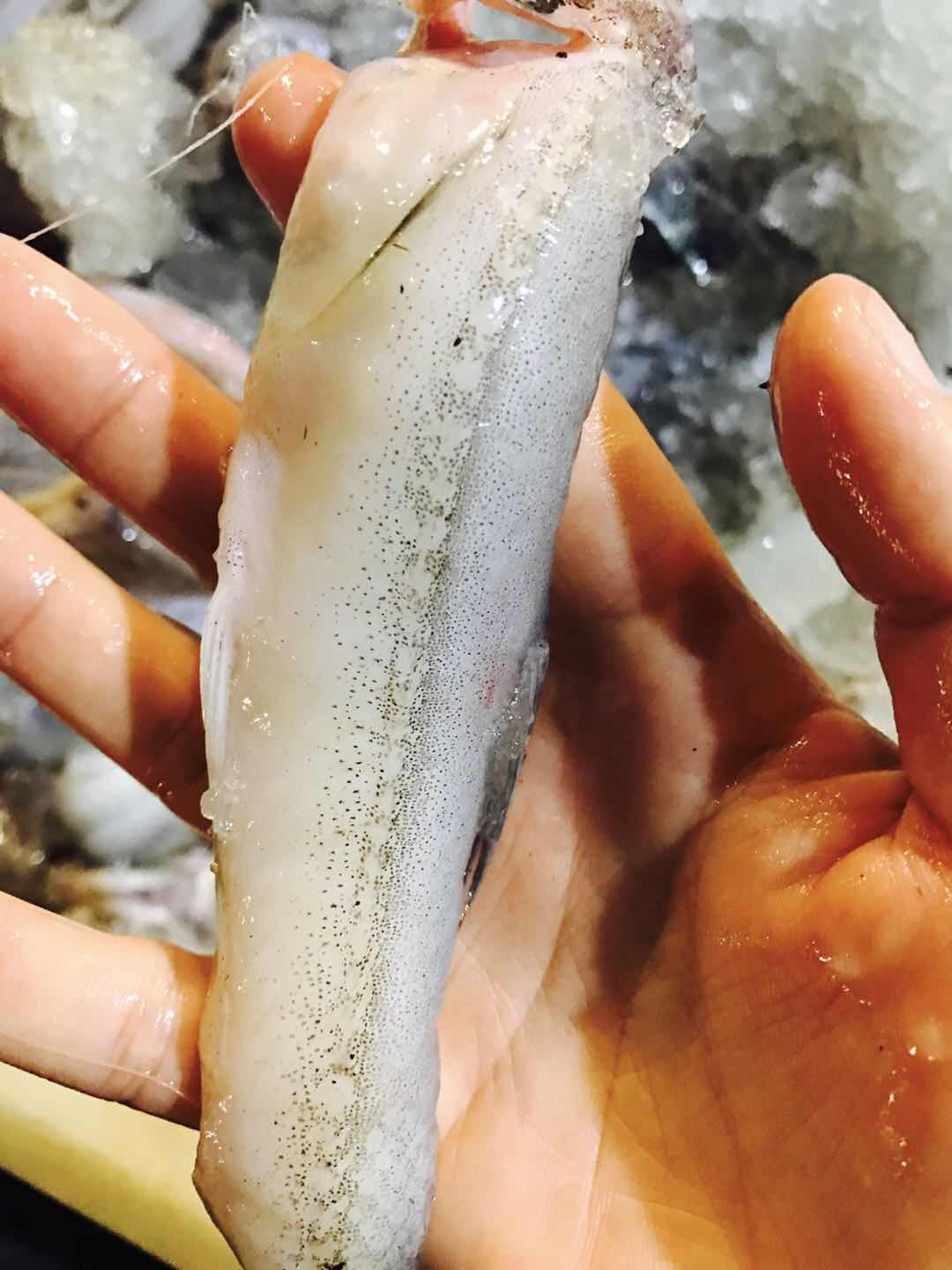 豆腐鱼龙头鱼净菜1斤