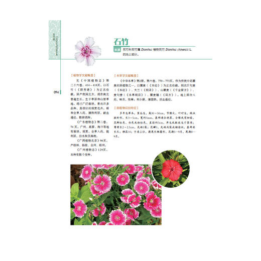 岭南药用植物图志（上册） 商品图4