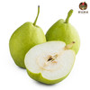 库尔勒香梨【件】 商品缩略图0