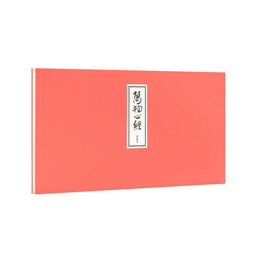 《万物心经》心经可纳众生，万物皆有禅意；薛继业写画《心经》，读库出品 商品图0