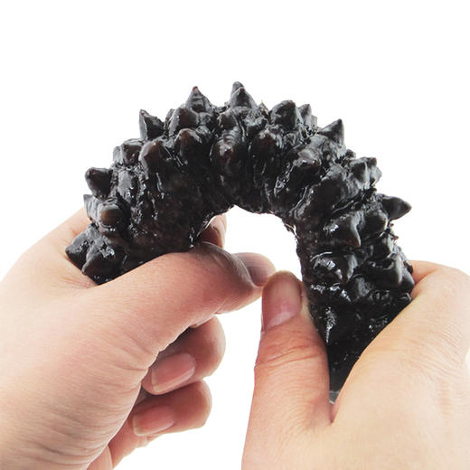 【即食米刺参】野生米刺参，纯野生海参，开袋即食，营养健康 商品图1