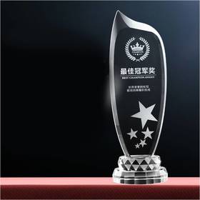 世界之巅国际奖杯