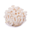 【新鲜】蔬菜 白玉菇 约200g/份 商品缩略图1