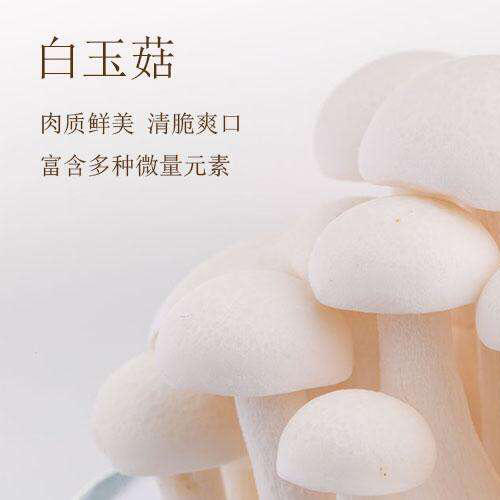 【新鲜】蔬菜 白玉菇 约200g/份 商品图2