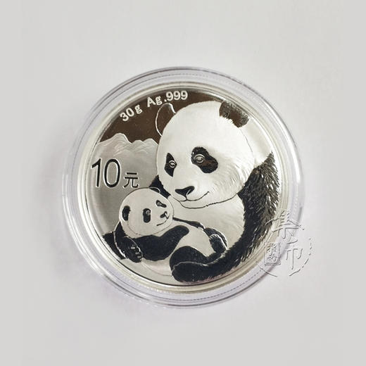 2019年熊猫30克银币 商品图1