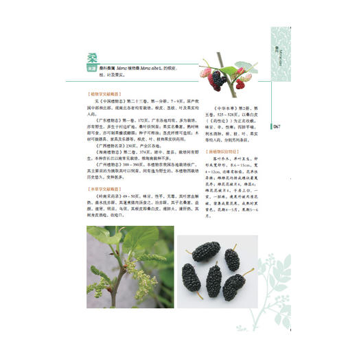 岭南药用植物图志（上册） 商品图3