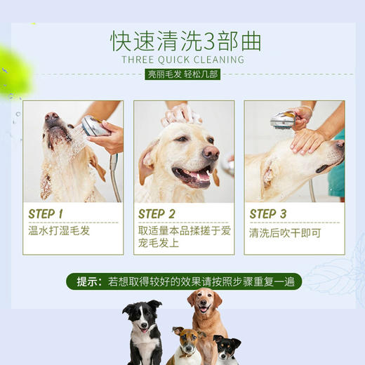 宝莱美露宠物狗狗沐浴露20KG大桶装丝滑柔顺猫咪香波浴液洗澡用品 商品图3