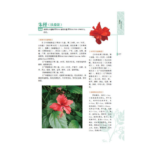 岭南药用植物图志（上册） 商品图5