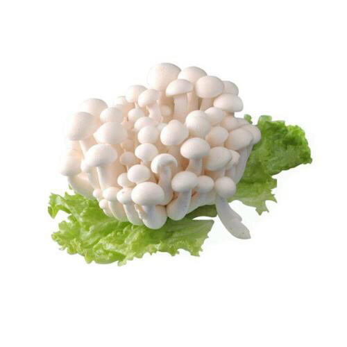 【新鲜】蔬菜 白玉菇 约200g/份 商品图0