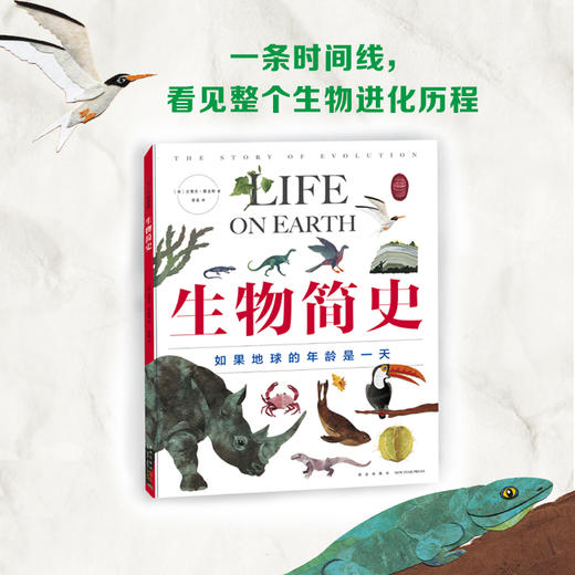 生物简史 精装 爱心树 商品图2