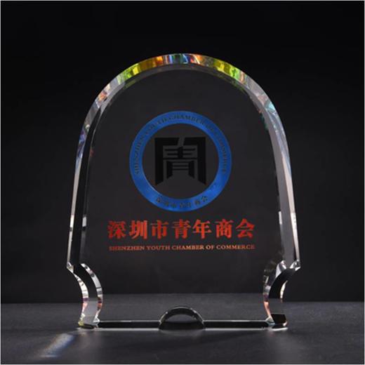 奖杯 水晶 王者风范 定制 刻字定做创意纪念品制作颁奖比赛奖品 商品图0
