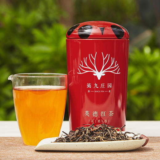 英九庄园丨英德红茶 红罐 英红九号(花果香) 一级 100g