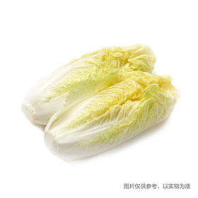 【新鲜】蔬菜 大娃娃菜约500g左右 称重多退少补