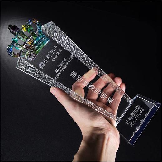 奖杯 水晶 勇夺冠军定制 刻字定做创意纪念品制作颁奖比赛奖品 商品图0
