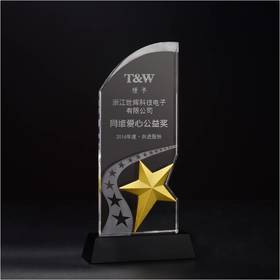 奖杯 水晶 财富之星 定制 刻字定做创意纪念品制作颁奖比赛奖品