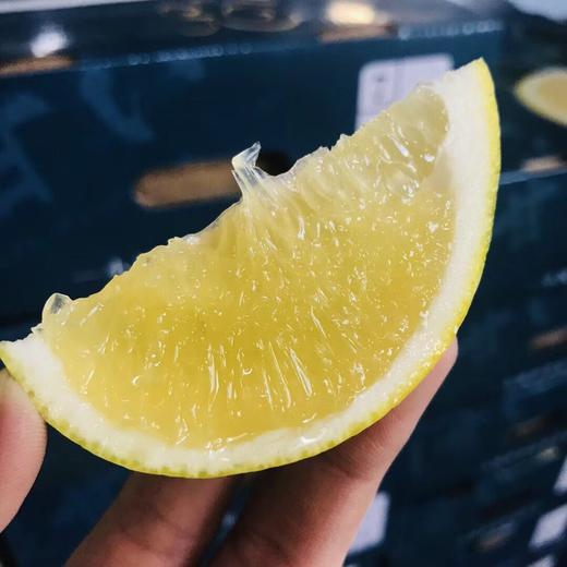 葡萄柚 商品图1