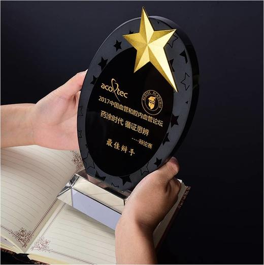 奖杯 水晶 椭圆黑水晶 定制 刻字定做创意纪念品制作颁奖比赛奖品 商品图0
