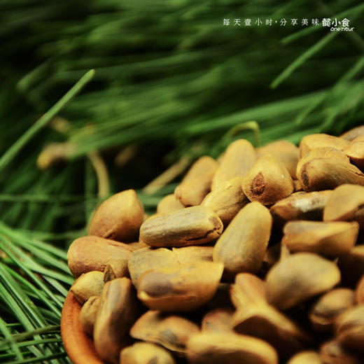 长白山野生开口红松籽 500g/袋