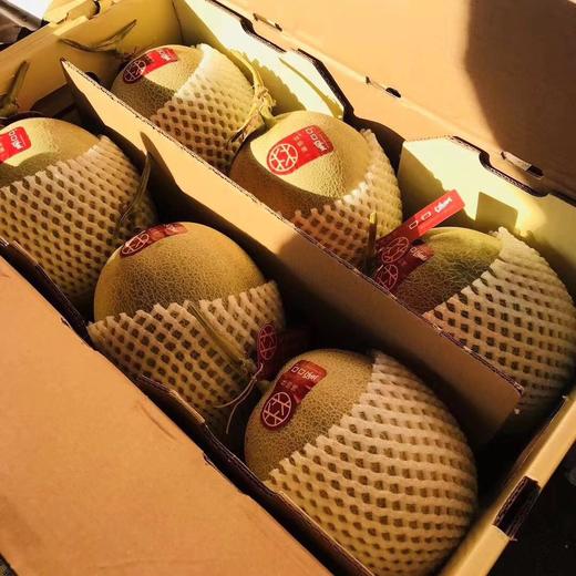 林师傅 口口蜜 /白雪蜜一箱6只 商品图4