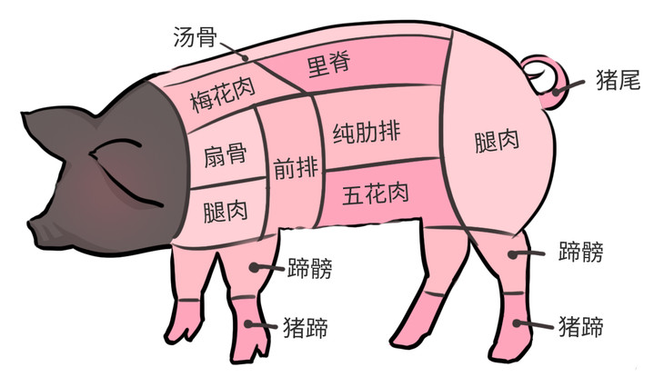 猪肉各个部位名称图解图片