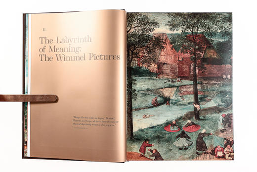 勃鲁盖尔绘画全集/Pieter Bruegel: The Complete Works/英文原版大开本画册 Taschen XXL 系列 商品图7