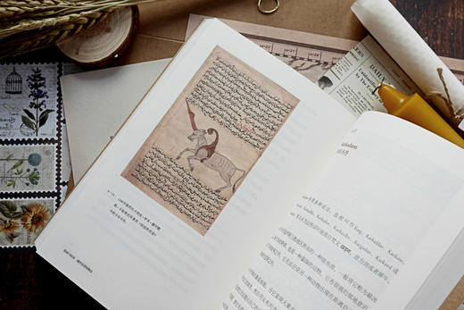 《惊奇与怪异：域外世界怪物志》| 域外版山海经，一本好奇心之书 商品图7