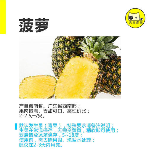 B 菠萝（冷鲜果） 商品图1
