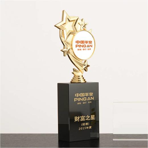 财富之星 奖杯定制定做高档优秀员工奖品创意金属奥斯卡小金人冠军奖杯刻字 商品图0